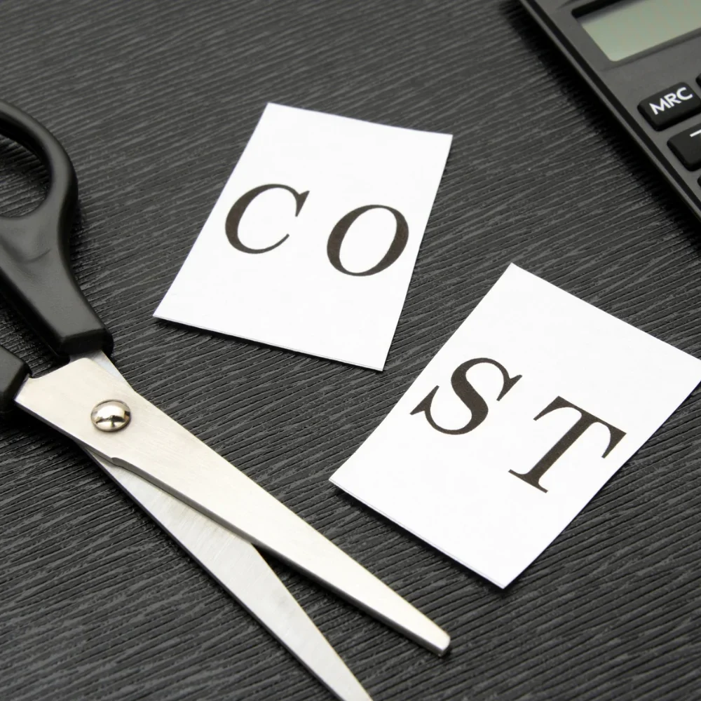 cost-cutting